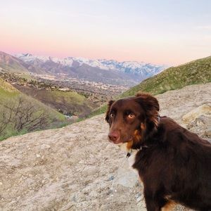 Meet your Posher, Tegan